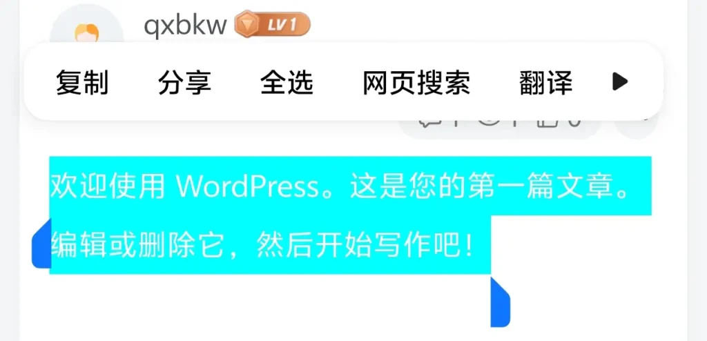 图片[5]-子比主题美化-奇想博客网